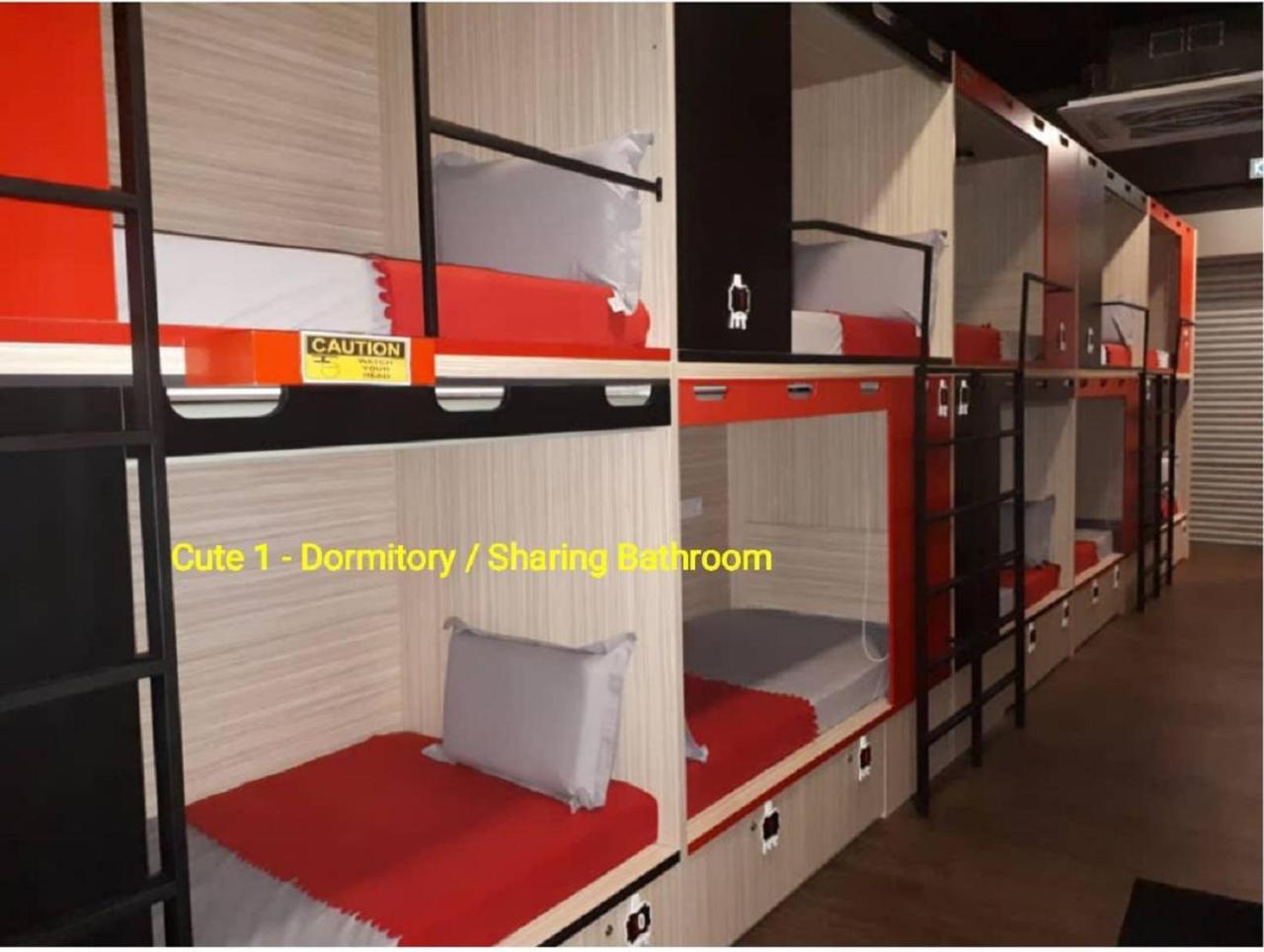 Bunk Bed Mixed Dormitory Room